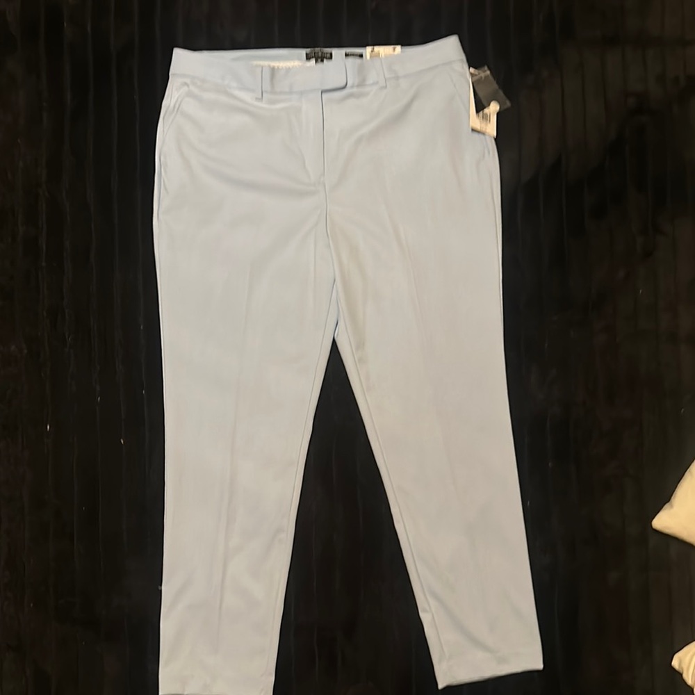 The Limited Sky Blue Slim Ankle Pants